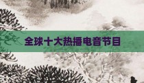全球十大热播电音节目