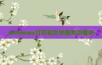 windows打印和文件服务功能吗
