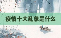 疫情十大乱象是什么