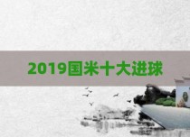 2019国米十大进球