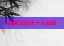迷你洗衣机十大品牌