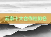 云南十大合作社排名