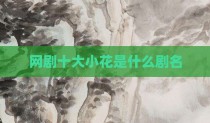 网剧十大小花是什么剧名