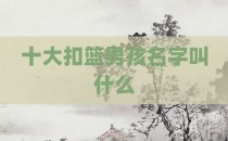 十大扣篮男孩名字叫什么