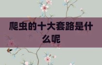 爬虫的十大套路是什么呢
