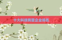 十大科技民营企业排名