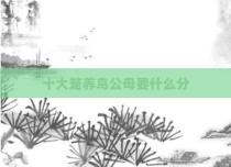 十大笼养鸟公母要什么分