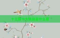 十三娘十大挑战是什么歌