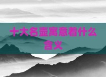 十大名壶寓意着什么含义