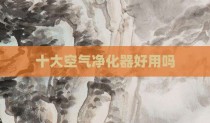 十大空气净化器好用吗