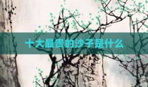 十大最贵的沙子是什么