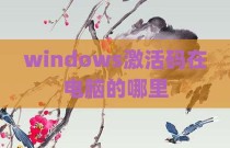 windows激活码在电脑的哪里