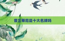 普兰蒂尼是十大名牌吗