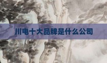 川电十大品牌是什么公司