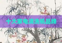 十大家电清洗机品牌