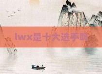 lwx是十大选手吗