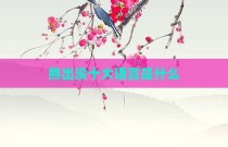 熊出没十大语言是什么