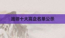 潍坊十大高企名单公示