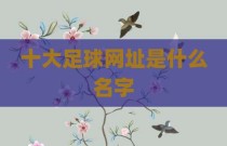 十大足球网址是什么名字
