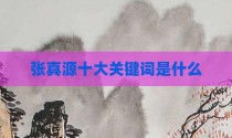 张真源十大关键词是什么