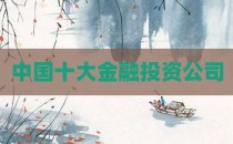 中国十大金融投资公司