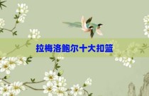 拉梅洛鲍尔十大扣篮