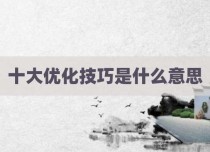 十大优化技巧是什么意思