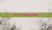 听力十大等级是什么级别