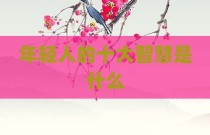 年轻人的十大智慧是什么