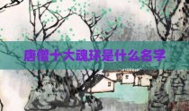 唐僧十大魂环是什么名字