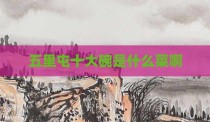 五里屯十大碗是什么菜啊