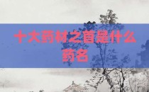 十大药材之首是什么药名