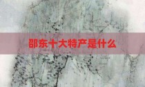 邵东十大特产是什么