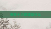 新年十大愿望是什么