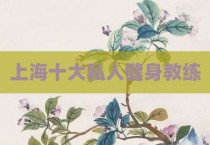 上海十大私人健身教练