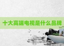 十大高端电视是什么品牌