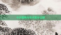 十大禁狗斗牛犬是什么狗