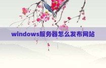 windows服务器怎么发布网站