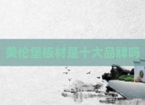 美伦堡板材是十大品牌吗