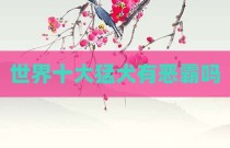世界十大猛犬有恶霸吗