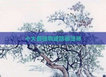 十大最强物理防御法师