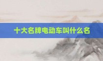 十大名牌电动车叫什么名