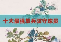 十大最强单兵防守球员