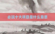 必玩十大项目是什么意思