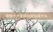 营销十大逻辑问题包括什么