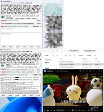 侠客多平台短视频解析去水印工具 V5.1