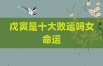 戊寅是十大败运吗女命运