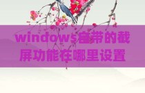 windows自带的截屏功能在哪里设置