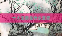 十大玄数是什么意思