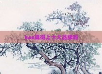 kae算得上十大品牌吗